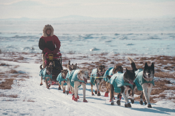 The Most Powerful Film You'll See About the Iditarod Isn't Really About the Iditarod -- Watch 'Apayauq'
