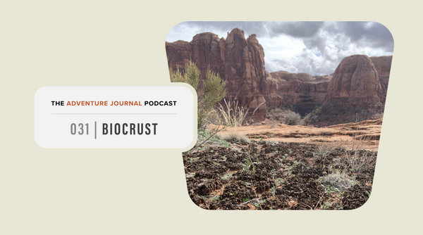For the Love Of Dirt Part 2: Talkin' Biocrust With Dr. Kristina Young